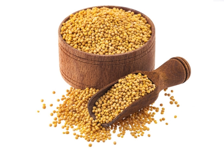 Yellow Mustard Seeds MR Agro Industries